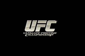 UFC fighters competing in a mixed martial arts match inside the octagon