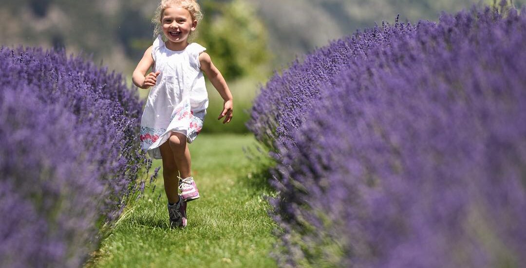 The state of Michigan hopes its scents will bring people to visit