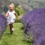 The state of Michigan hopes its scents will bring people to visit