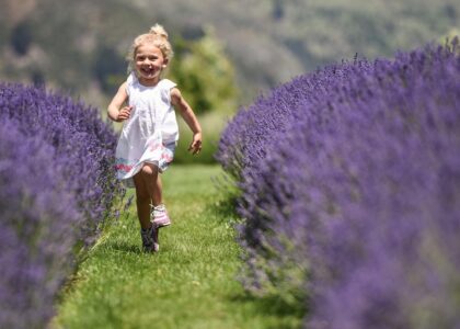 The state of Michigan hopes its scents will bring people to visit